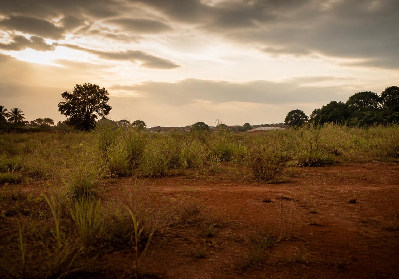 Avant · Terrain